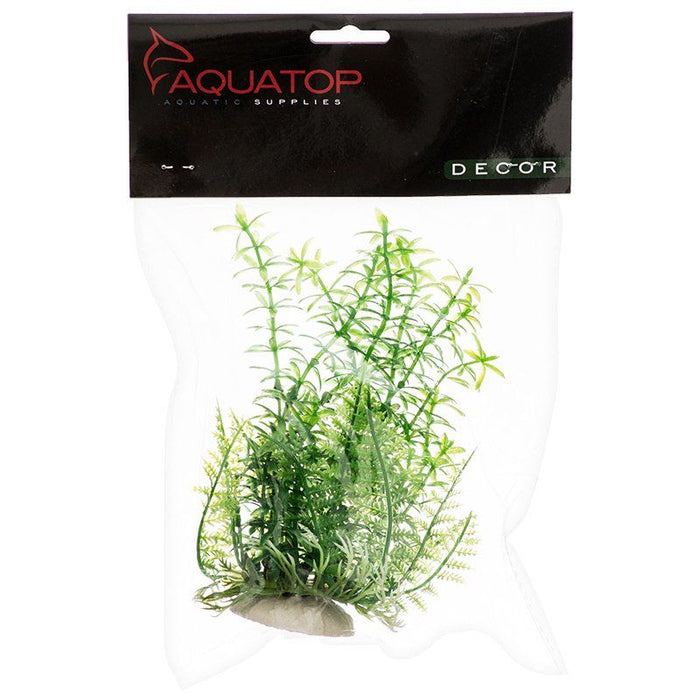 Aquatop Anacharis Aquarium Plant - Green 6" High w/ Weighted Base Green